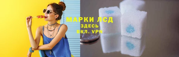 spice Беломорск