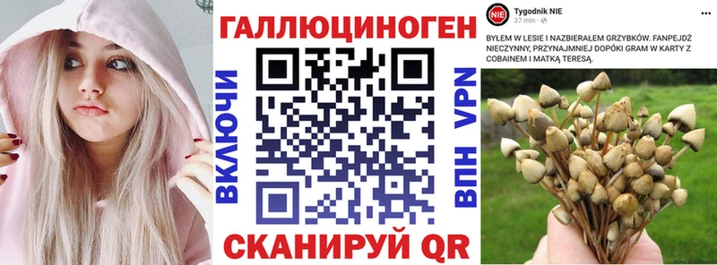 хочу наркоту  Маркс  Галлюциногенные грибы ЛСД 