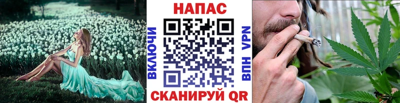 Каннабис сатива  продажа наркотиков  Маркс 